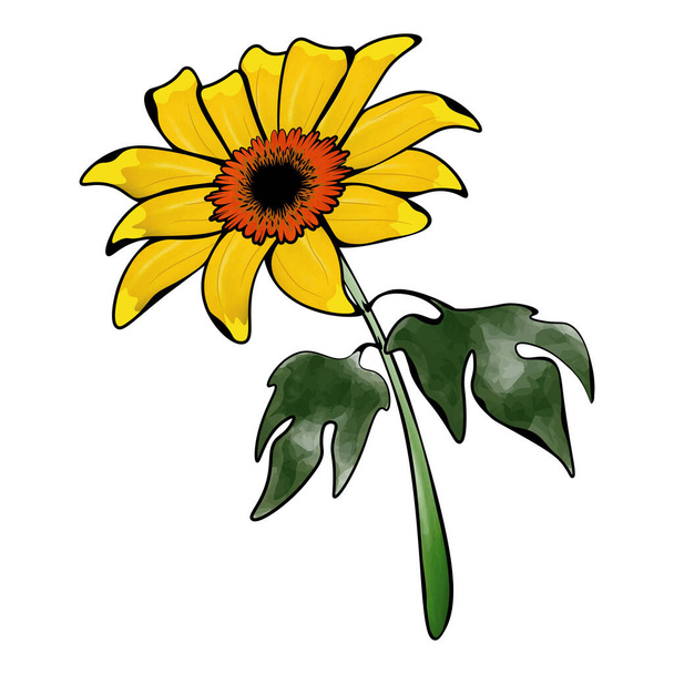 water color image of tree marigold flower. Vector illustration - Vector, Imagen