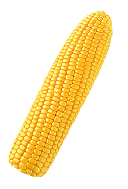 Single corn - Photo, Image