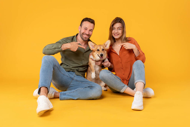 Ευτυχισμένος ενθουσιασμένος Ευρωπαίος άνδρας και γυναίκα κάθεται με corgi σκυλί, δείχνοντας τα δάχτυλα σε αυτό και χαμογελώντας στην κάμερα, κίτρινο φόντο στούντιο - Φωτογραφία, εικόνα