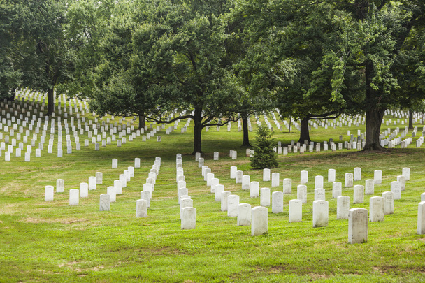 Headstones no Cemitério Nacional de Arlington
 - Foto, Imagem