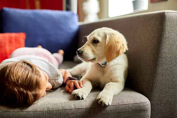 Happy teenage girl lying on sofa and embracing her puppy golden retriever pet, Love domestic animals, Friends at home - Fotó, kép