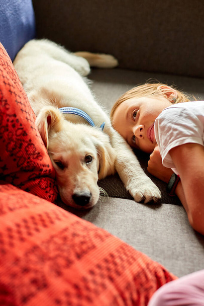 Happy teenage girl lying on sofa and embracing her puppy golden retriever pet, Love domestic animals, Friends at home - Фото, изображение