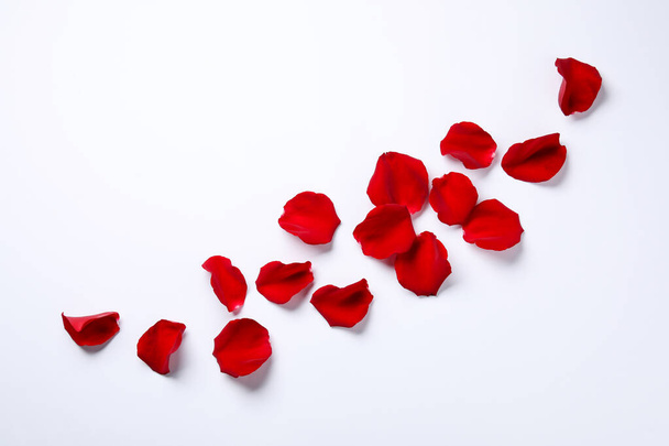 Beautiful red rose petals on white background, top view - Photo, image