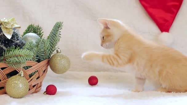 Küçük bir kedi yavrusu Noel balosuyla oynuyor, yeni yıl dekorlu bir sepet. İçinde köknar dalı ve Noel süslemeleri olan bir sepet ve kedi. Oyuncak kedi ve tatil için oyuncaklar. - Video, Çekim
