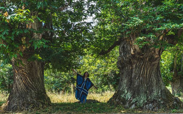 Frau zwischen zwei hundertjährigen Bäumen, die ihre Arme ausstreckt, um mit ihren großen Stämmen zu vergleichen - Foto, Bild
