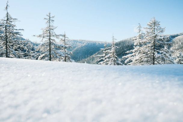 winter mountain scenery with snow and trees. beautiful landscape. winter scenery. - Photo, Image