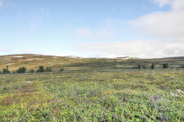 Tundra Landscape - Foto, Imagen