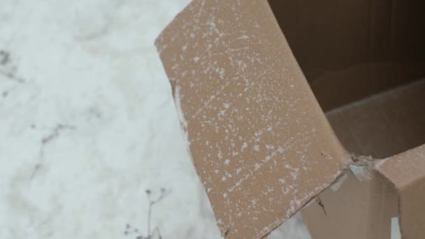 Abre la caja de cartón vacía sobre fondo de nieve. El concepto de un regalo de vacaciones perdido - Metraje, vídeo