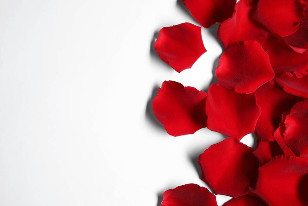 Beautiful red rose petals on white background, top view - Valokuva, kuva
