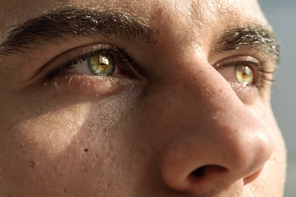 Makro pchnięciu oko człowieka  - Zdjęcie, obraz