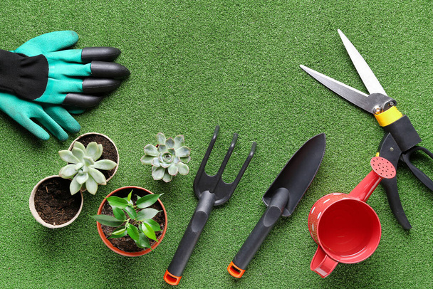 Composição com diferentes ferramentas de jardinagem e plantas em fundo de cor - Foto, Imagem