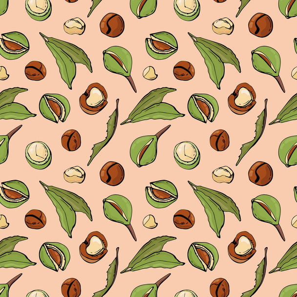 Seamless pattern with macadamia nuts. Design for fabric, textile, wallpaper, packaging. - Vector, imagen