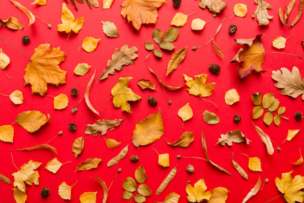 Sonbahar kompozisyonu. Masadaki kurumuş yapraklar ve diğer tasarım aksesuarlarından oluşan desen. Düz yatış, üst görünüm. - Fotoğraf, Görsel