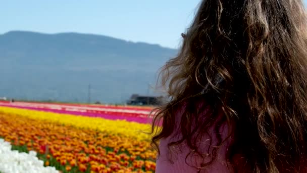 Young woman tourist in pink dress and straw hat standing in blooming tulip field. Spring time. High quality photo - Footage, Video