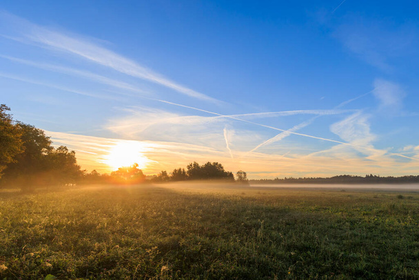 colorful sunrise over foggy meadows in Augsburg city forest near Siebenbrunn - Photo, Image