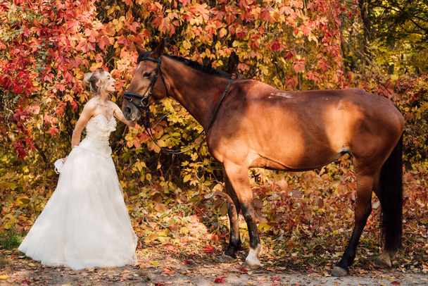 Bella sposa in un abito lungo bianco si trova vicino a un cavallo nella foresta autunnale. Matrimonio in natura. Foto di alta qualità - Foto, immagini