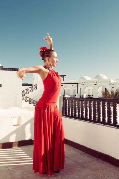 Flamenco dancer - Foto, immagini