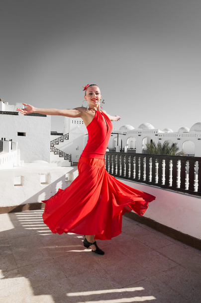 Flamenco dancer - Фото, изображение