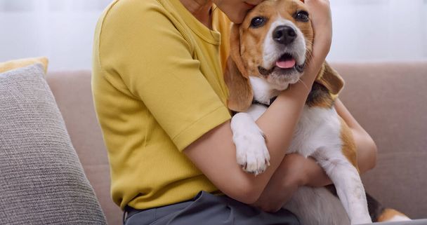 Młoda kobieta zabawia się z psem na kanapie w domu. - Zdjęcie, obraz