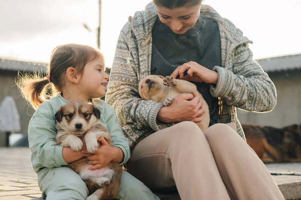 Family vacation, mother, daughter, and two puppies relaxing on weekends in the front yard. Domestic lifestyle. Playing child. Animal care. - Photo, Image