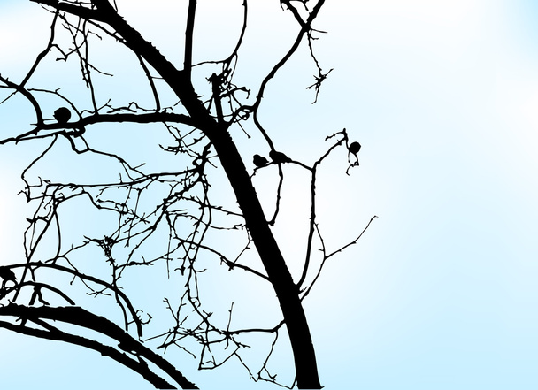 Árbol con pájaros
 - Vector, imagen