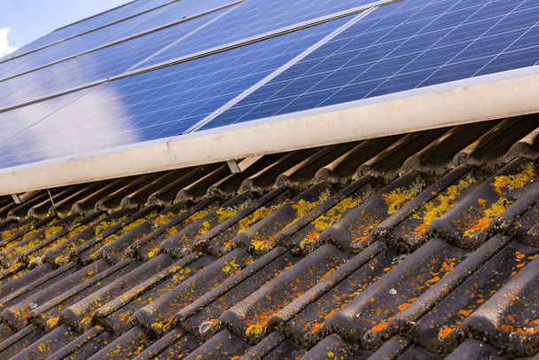 Gelbe und orangefarbene Flecken auf braunen Dachziegeln unter Solarzellen auf Hausdächern, Deutschland - Foto, Bild