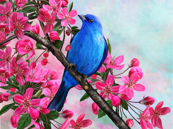 The blue bird on a branch of apple - Valokuva, kuva