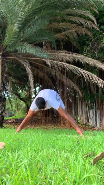 Hintli genç adam yoga eğitimi alıyor. Parkın minderinde spor salonu. Dışarıda. Sağlıklı olmak için rahatla. Yaz mevsiminde kanarya adalarında daha iyi hareket edebilme egzersizleri. - Video, Çekim