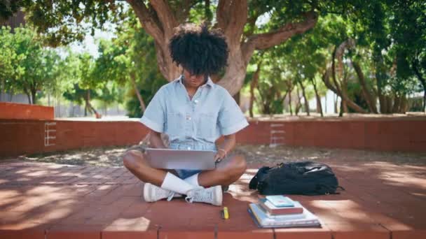 Кучерявий студент дивиться екран ноутбука, сидячи в міському парку наодинці. Зосереджена афроамериканська молода жінка вивчає онлайн, використовуючи ноутбук на відкритому повітрі. Чорноволоса дівчина шукає інформацію в Інтернеті. - Кадри, відео