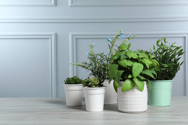 Many different artificial plants in flower pots on white wooden table near grey wall, space for text - Фото, изображение