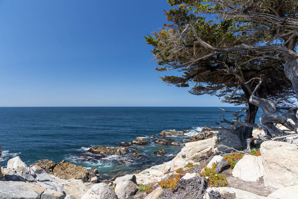 A captivating coastal landscape featuring the majestic ocean and towering fir trees along the scenic 17-Mile Drive in California - Photo, Image