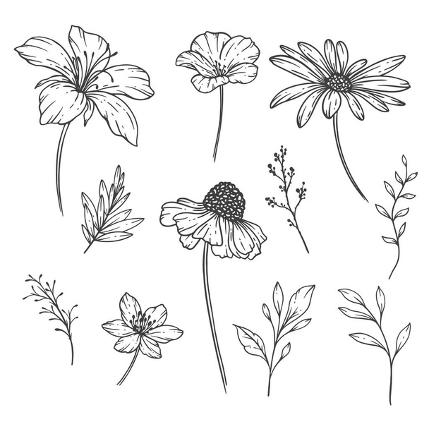 Wildflowers Line Art, Fine Line Wildflower csokrok kézzel rajzolt illusztráció. Színezés oldal virágokkal. - Vektor, kép