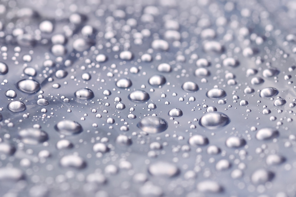 Drops of water - Foto, Imagen