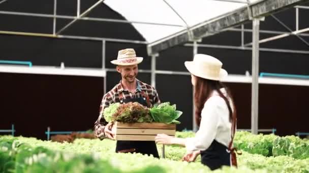 Asijské farmář pár práce v hydroponic zelenina farma se štěstím. - Záběry, video