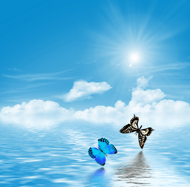 Schmetterlinge vor blauem Himmel mit Wolken - Foto, Bild