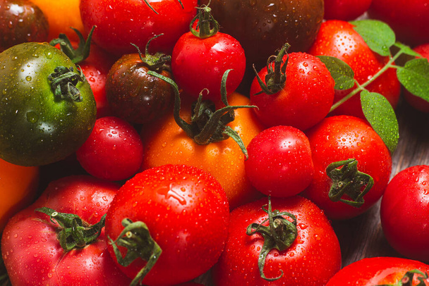 Tomaten in verschiedenen Farben und Sorten aus nächster Nähe - Foto, Bild