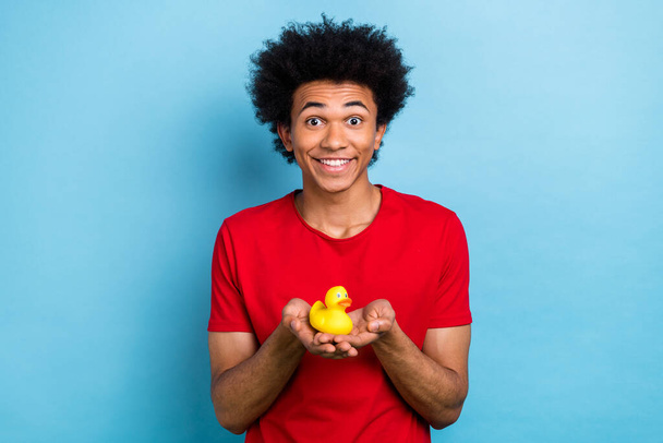 Photo of funky impressed guy with afro hairstyle dressed stylish red t-shirt hold small duck toy isolated on blue color background. - Foto, imagen