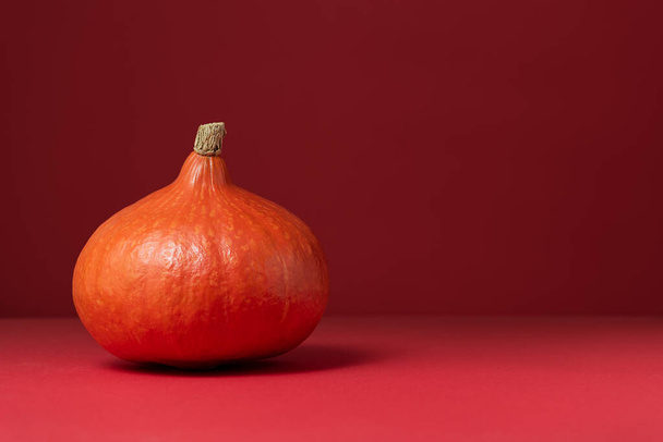 Red Kuri Squash или Hokkaido Pumpkin на красном фоне с копировальным пространством - Фото, изображение