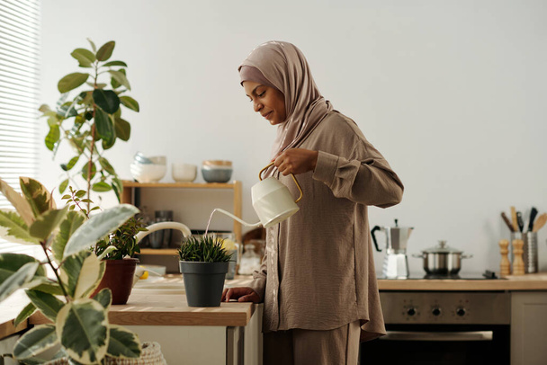 Vue latérale de la jeune femme musulmane souriante en foulard arrosant des plantes domestiques vertes poussant dans des pots de fleurs debout sur le comptoir de la cuisine - Photo, image