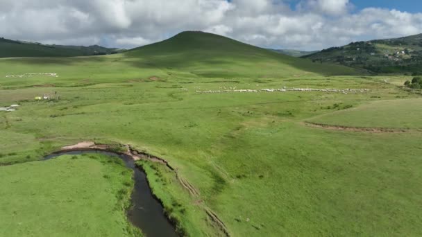 εναέρια άποψη οροπέδιο Meander ποτάμια και πρόβατα στην όμορφη φύση θολό ουρανό - Πλάνα, βίντεο