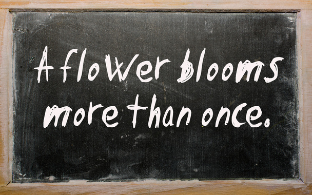 "Uma flor floresce mais de uma vez "escrito em um quadro negro
 - Foto, Imagem