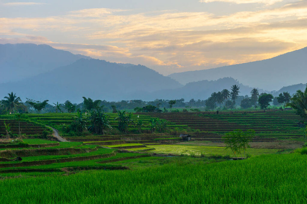Όμορφη θέα το πρωί Ινδονησία Πανόραμα τοπίο ορυζώνες με χρώμα ομορφιά και τον ουρανό φυσικό φως - Φωτογραφία, εικόνα