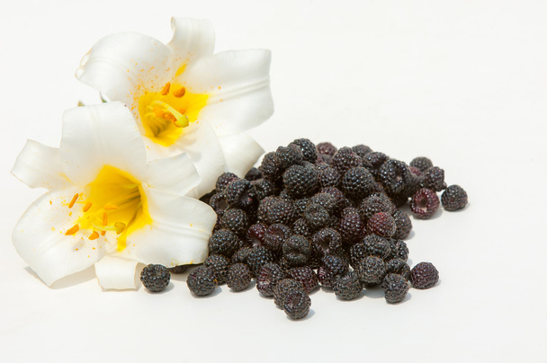 framboises noires. un fruit tendre comestible lié à la mûre, constitué d'une grappe de drupelettes noires
. - Photo, image