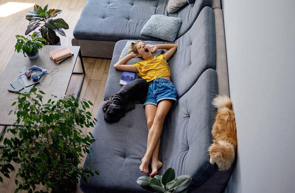 動物とソファーで休んでいる女の子 - 写真・画像