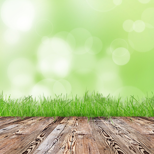 Hierba verde fresca
 - Foto, imagen