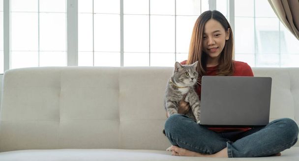 mladá asijská podnikatelka pracující doma pomocí notebooku počítač při hlazení domácí kočka. - Fotografie, Obrázek