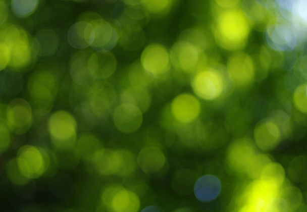 fondo de luz verde
 - Foto, imagen
