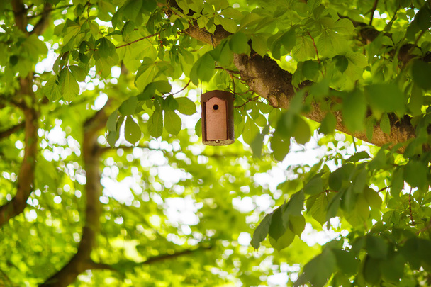 Bird house on a tree in summer, between green foliage - Photo, Image