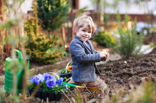 Little boy gardening and planting flowers in garden - Zdjęcie, obraz