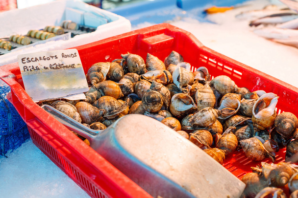 frisch gefleckte Babyschnecken und Escargots auf Bauernmarkt - Foto, Bild